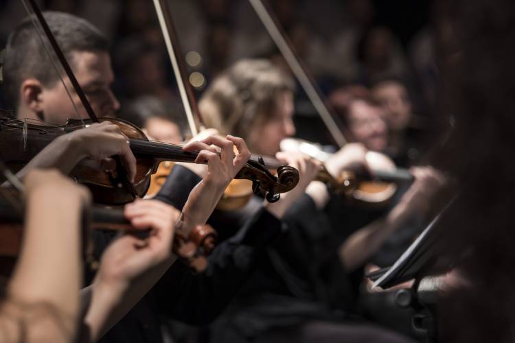 Cours de Batterie Lille - MusicaLille